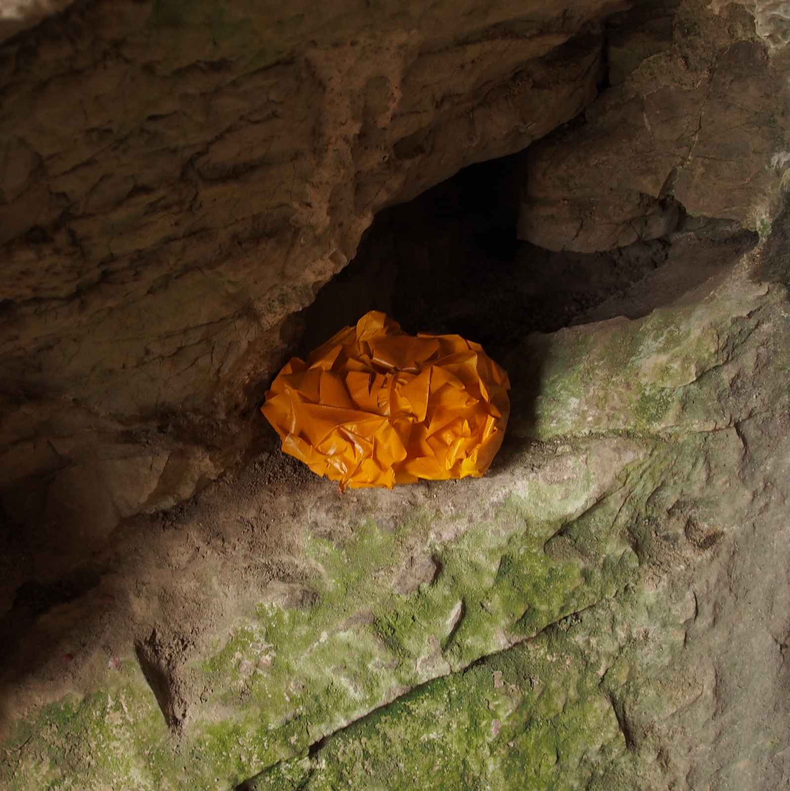 Caterpillarite