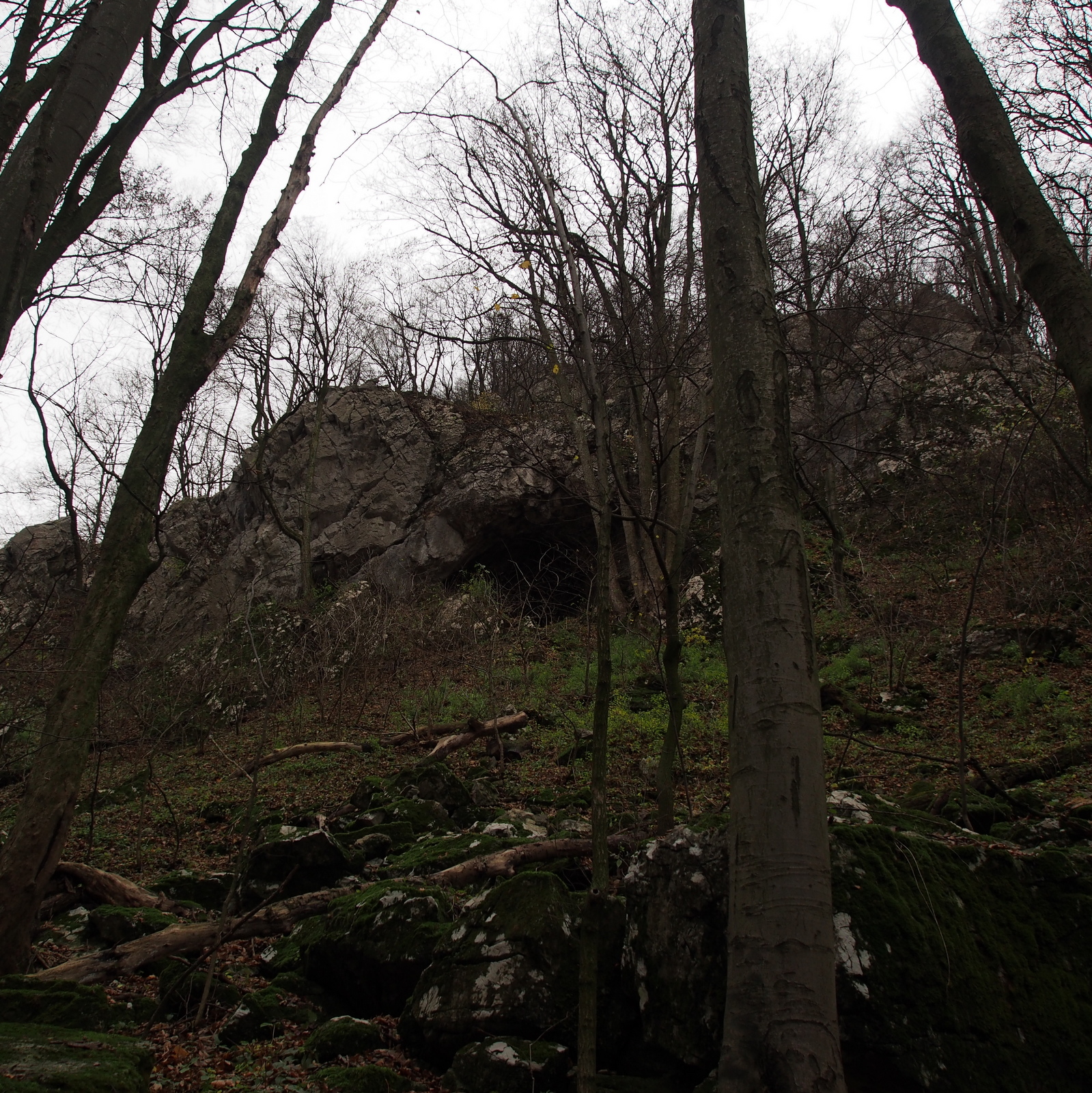 Hollow Rock