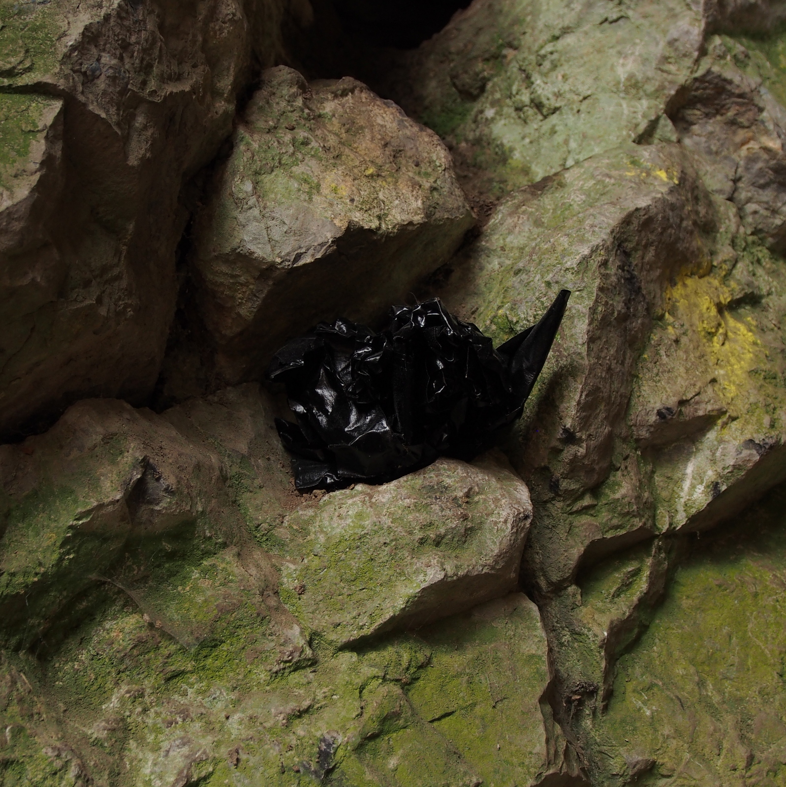 Petroleumite